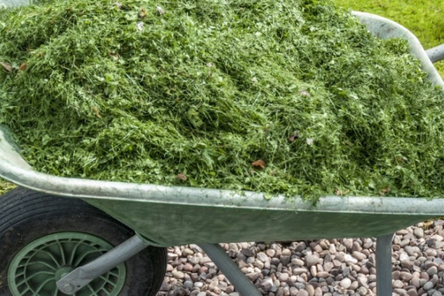 Garden waste, recycling and Christmas dates revealed