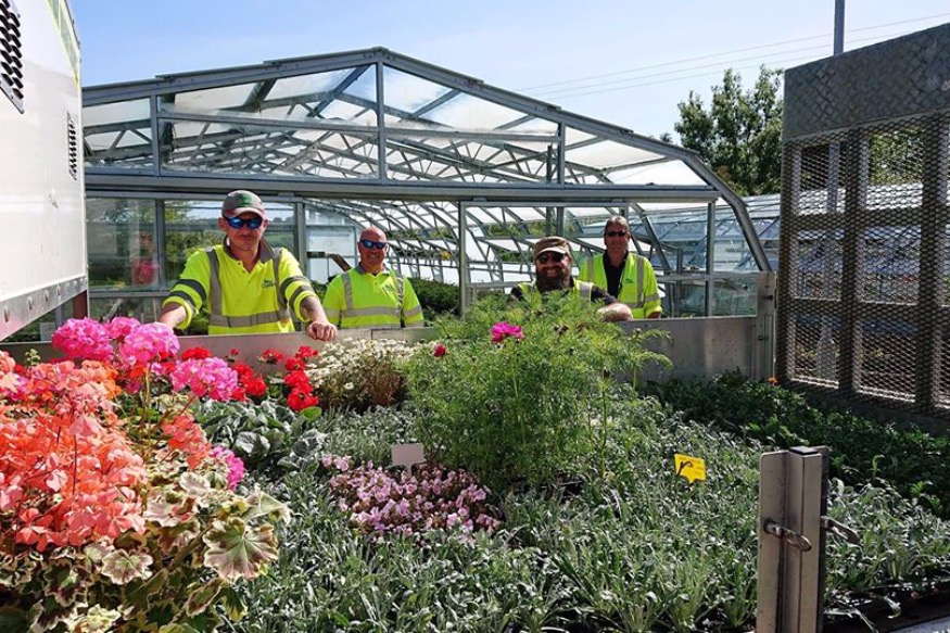 Operation 'Rainbow Gardens' helps brighten up our day