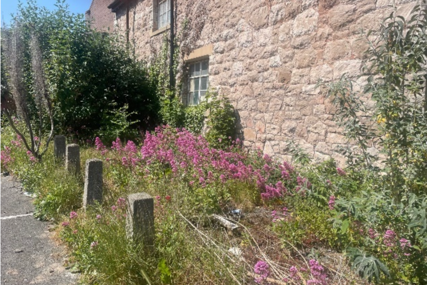 Community garden set to transform unloved space in Bay