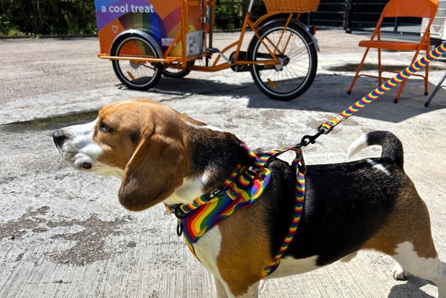 'Busiest summer yet' for leading North Wales pet retailer