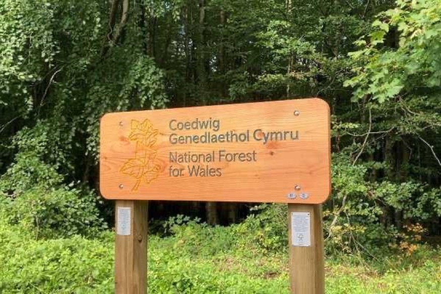Strong roots give further growth for National Forest in Wales