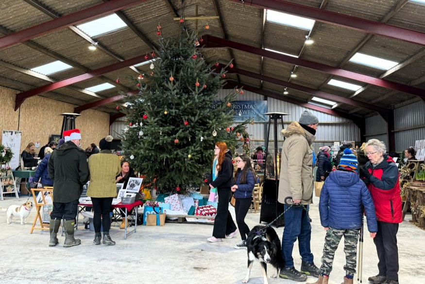 Turkeys take off while crowds flock to organic farm estate