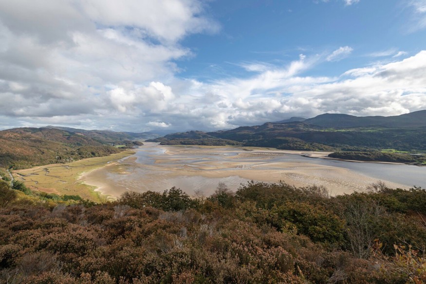 New action needed to protect Wales’s marine protected areas