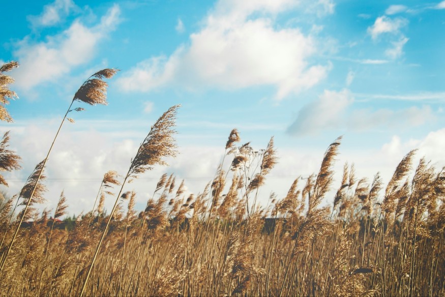 Gales and rain warning as Storm Floris hits the North