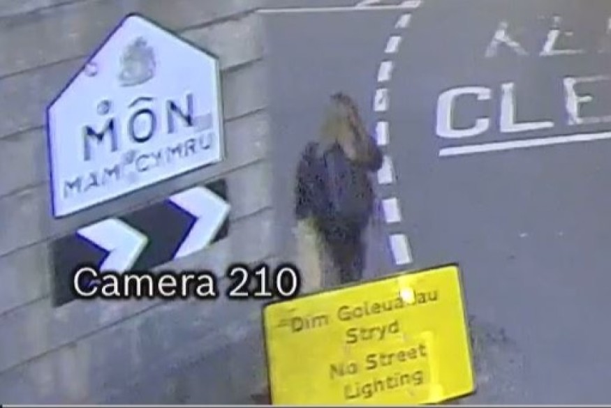 Crucial witness on bridge sought in woman's disappearance