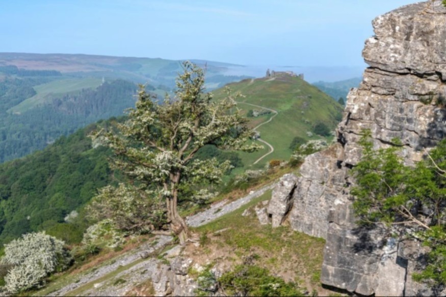 Clwyd West MS opposes current Glyndŵr park blueprint